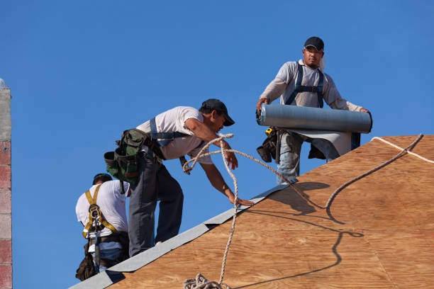 Best Roof Leak Repair  in Hanover, IN